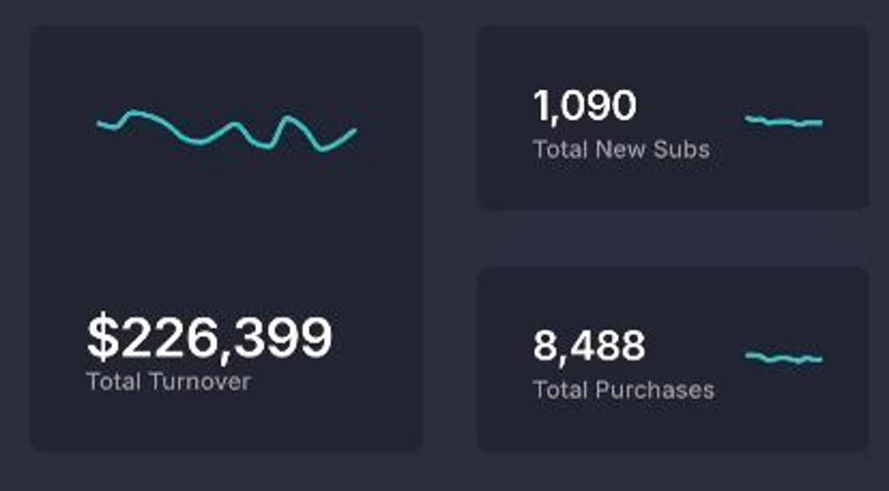 Anonymisiertes Creator-Dashboard mit Gesamtumsatz und Umsatzaufteilung